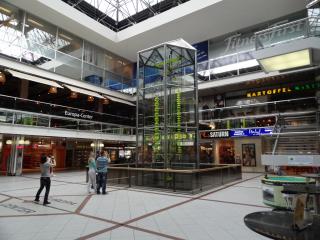 DSC01095.JPG