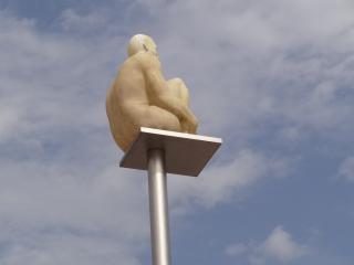 DSC01786.JPG