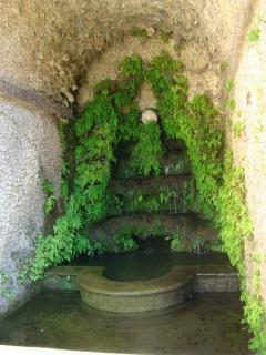 DSC00881.JPG