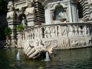 DSC00920.JPG