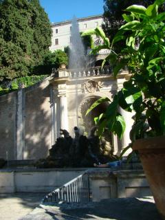 DSC00975.JPG