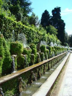 DSC00880.JPG