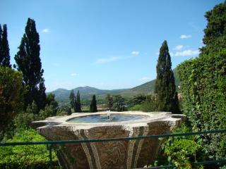 DSC00879.JPG