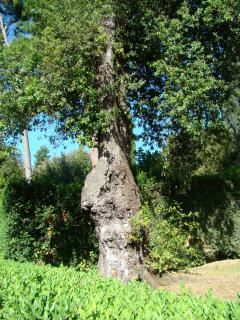DSC00974.JPG