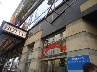 20.05.2013 Вена (157).JPG