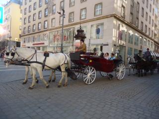 20.05.2013 Вена (174).JPG