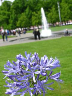 IMG_0382.JPG