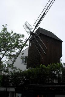 SDC12261.JPG