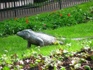 IMG_0669.JPG