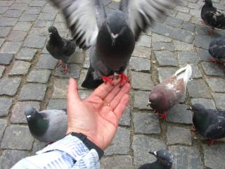 IMG_0162.JPG