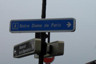 SDC11926.JPG