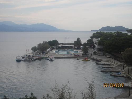 IMG_6236.JPG