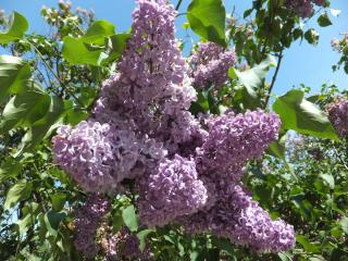 DSCF6353.JPG