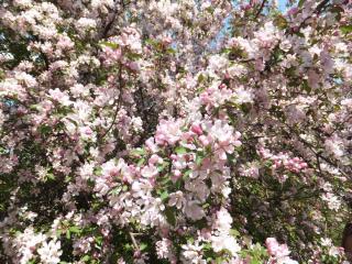DSCF5929.JPG