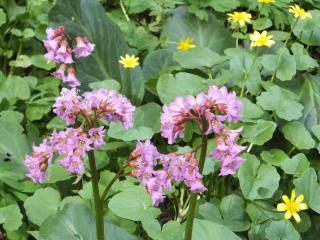 DSCF5782.JPG