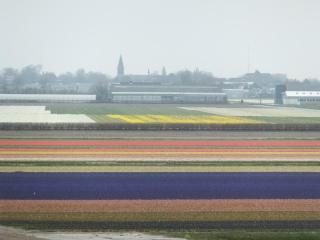 DSCF3941.JPG