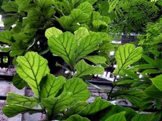 DSCF8314.JPG