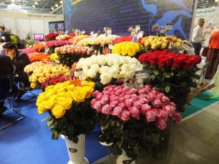 DSCF9773.JPG