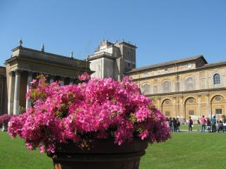 IMG_4186.JPG