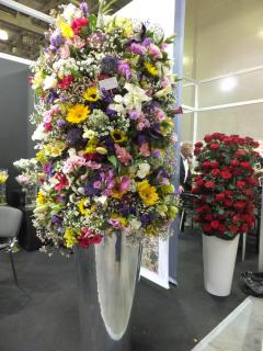 DSCF9849.JPG
