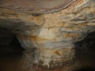 DSCF8350.JPG
