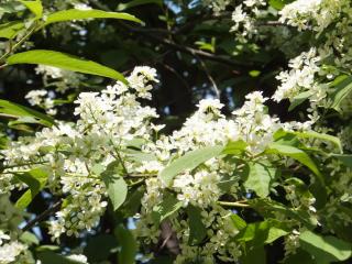 DSCF5934.JPG