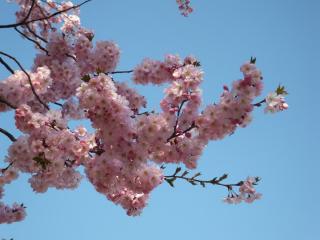 DSCF3512.JPG