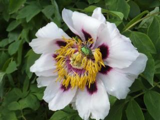 DSCF6454.JPG