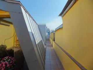 DSCF9580.JPG