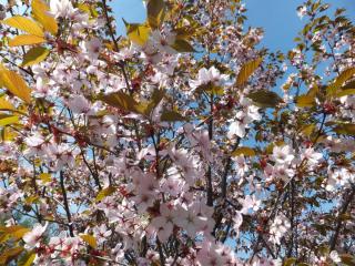DSCF5541.JPG