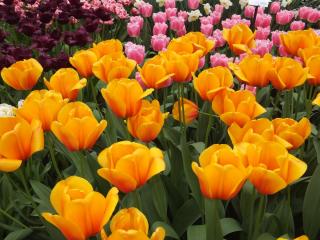 DSCF3914.JPG
