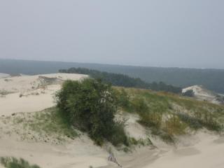 IMG_1215.JPG