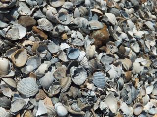 DSCF3591.JPG