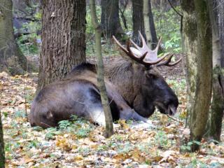 DSCF1816.JPG