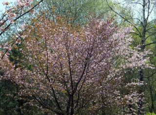 DSCF5597.JPG