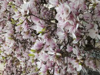 DSCF5081.JPG