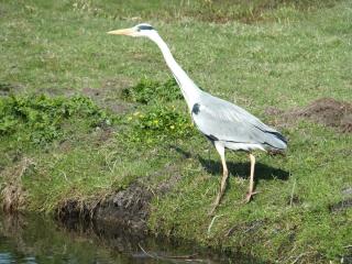 DSCF3492.JPG