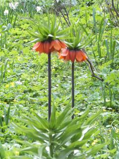 DSCF5771.JPG