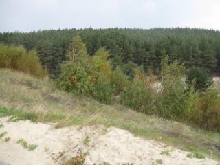 IMG_1221.JPG