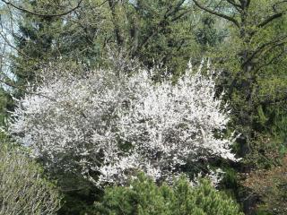 DSCF5678.JPG