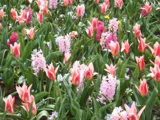 DSCF3993.JPG