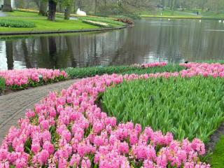 DSCF3808.JPG
