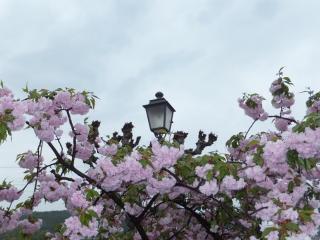 DSCF5370.JPG