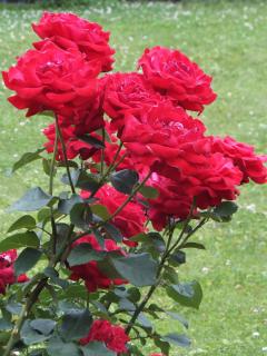 DSCF6899.JPG