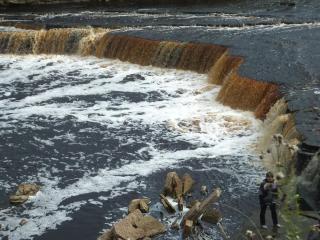 DSCF8557.JPG