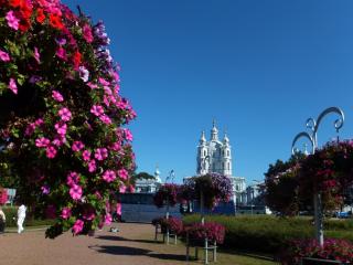 DSCF9129.JPG