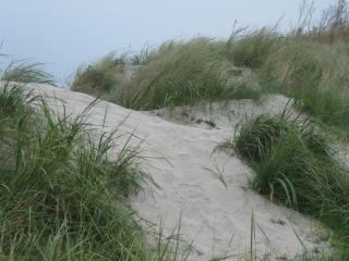 IMG_1077.JPG