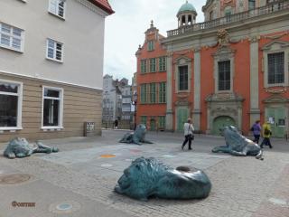 DSCF3063.JPG