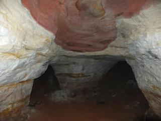 DSCF8411.JPG
