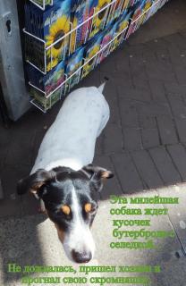 DSCF3409.JPG